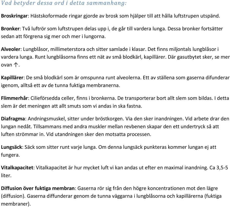 Alveoler: Lungblåsor, millimeterstora och sitter samlade i klasar. Det finns miljontals lungblåsor i vardera lunga. Runt lungblåsorna finns ett nät av små blodkärl, kapillärer.