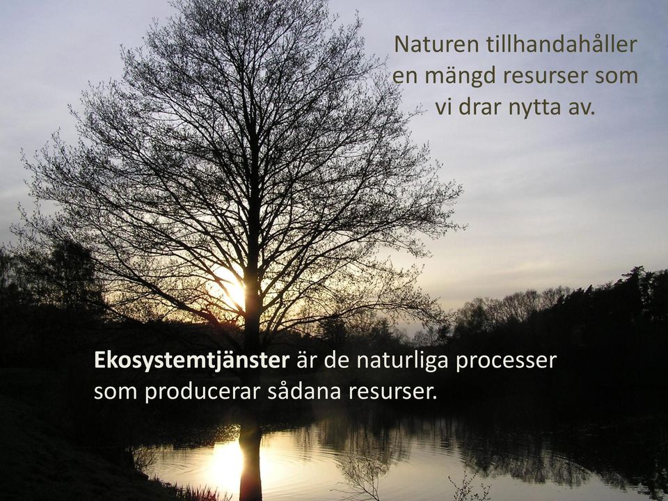 Ekosystemtjänster är de naturliga