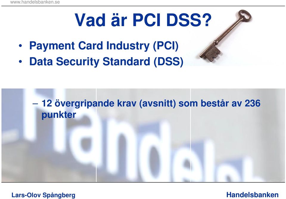 Security Standard (DSS) 12