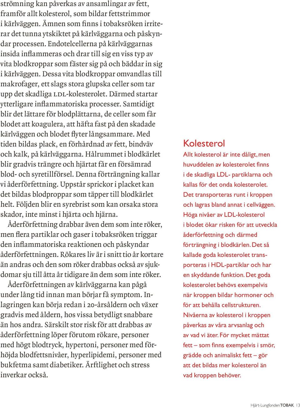 Endotelcellerna på kärlväggarnas insida inflammeras och drar till sig en viss typ av vita blodkroppar som fäster sig på och bäddar in sig i kärlväggen.