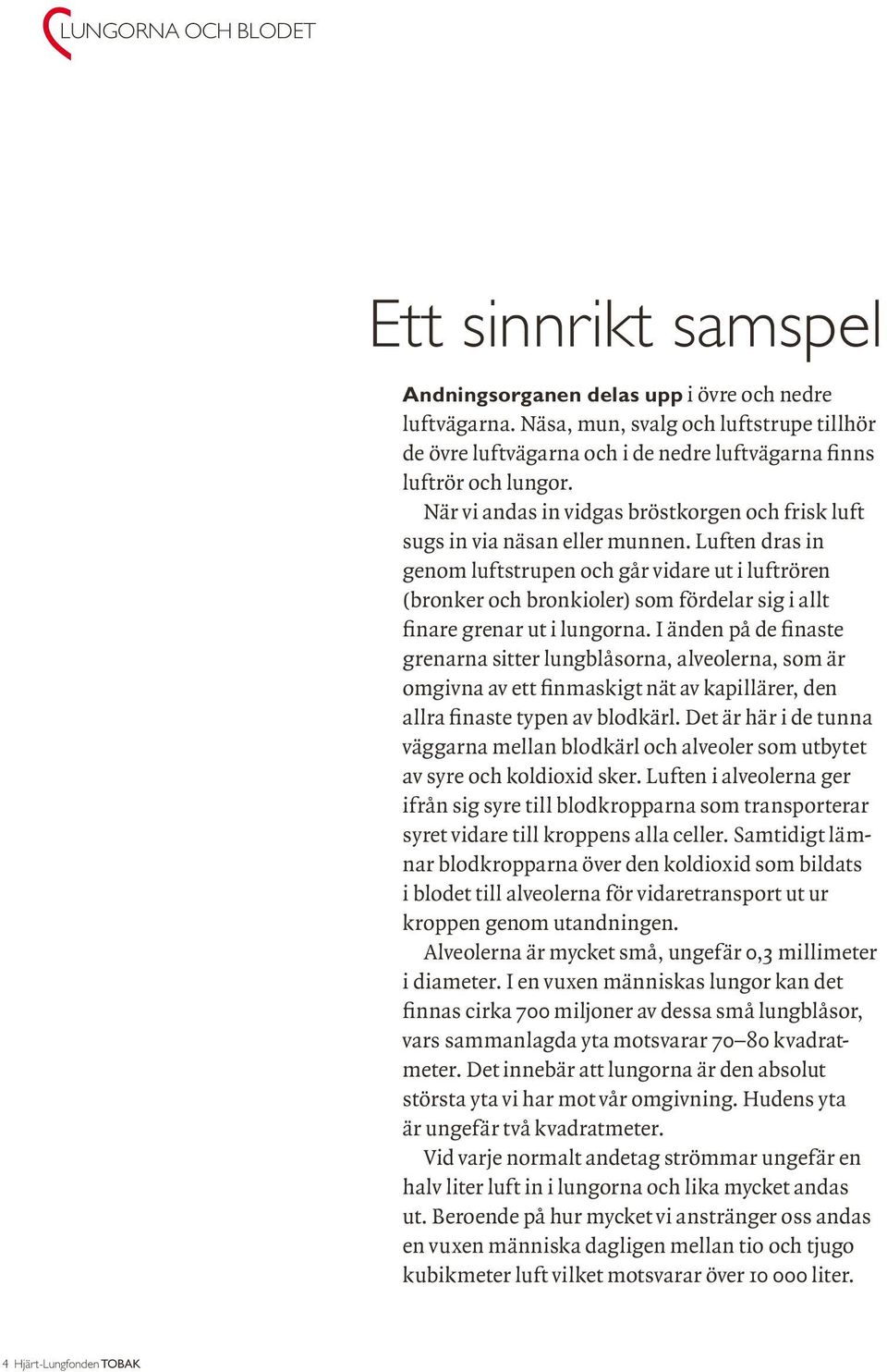 Luften dras in genom luftstrupen och går vidare ut i luftrören (bronker och bronkioler) som fördelar sig i allt finare grenar ut i lungorna.