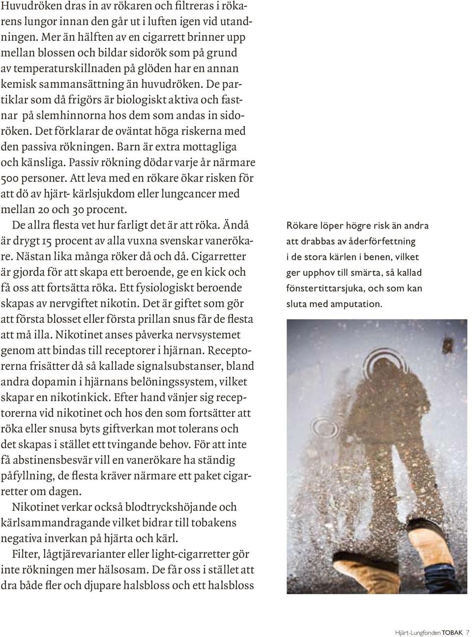 De partiklar som då frigörs är biologiskt aktiva och fastnar på slemhinnorna hos dem som andas in sidoröken. Det förklarar de oväntat höga riskerna med den passiva rökningen.