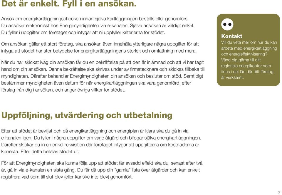 Om ansökan gäller ett stort företag, ska ansökan även innehålla ytterligare några uppgifter för att intyga att stödet har stor betydelse för energikartläggningens storlek och omfattning med mera.