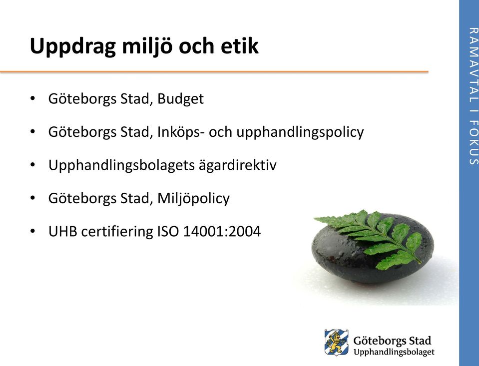 Upphandlingsbolagets ägardirektiv Göteborgs