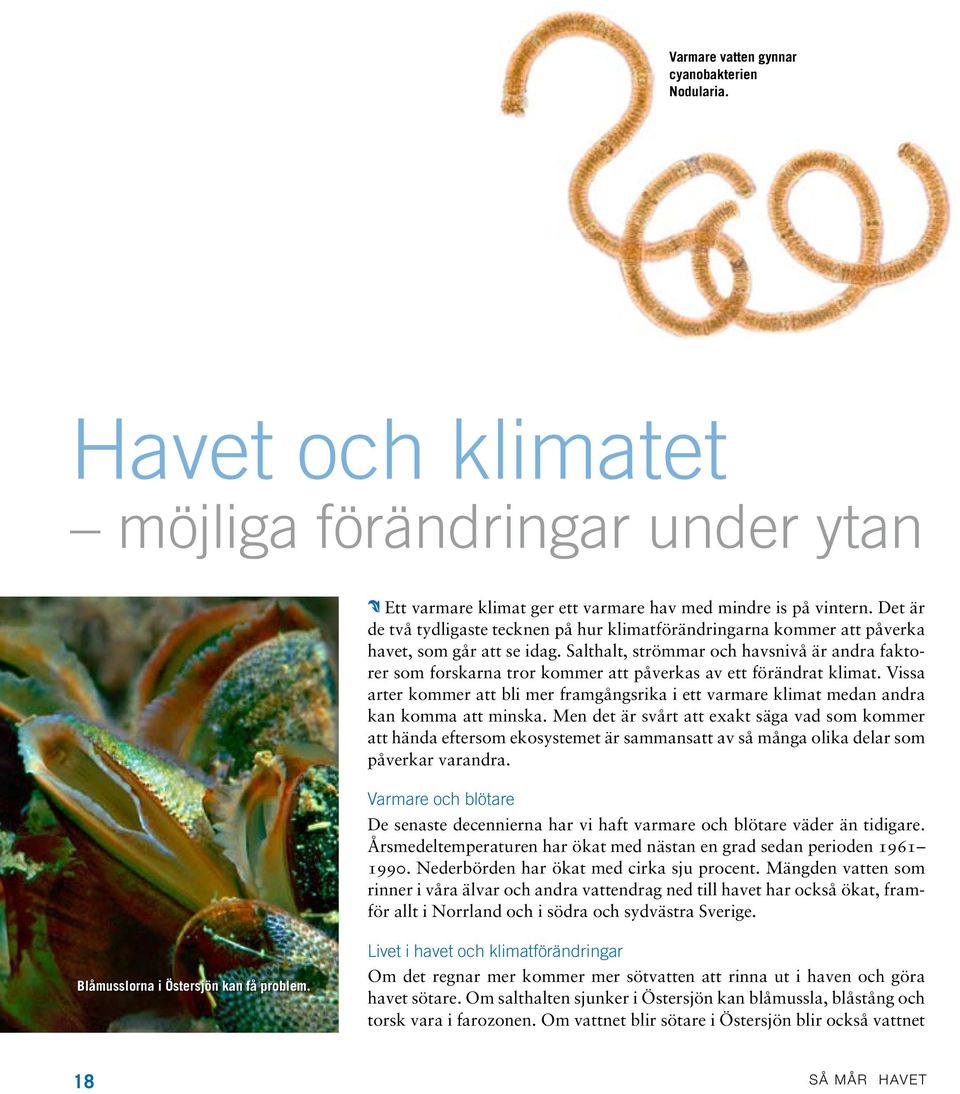 Salthalt, strömmar och havsnivå är andra faktorer som forskarna tror kommer att påverkas av ett förändrat klimat.