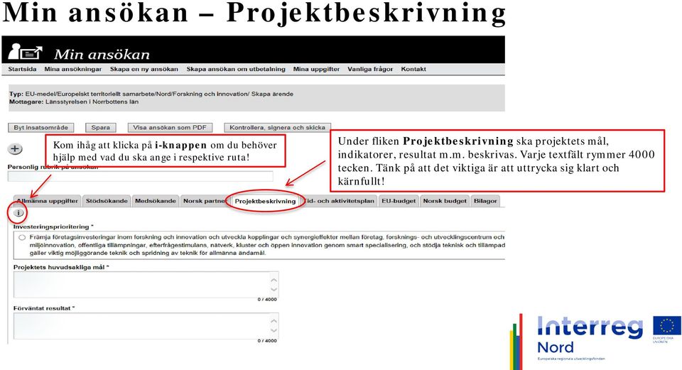 Under fliken Projektbeskrivning ska projektets mål, indikatorer, resultat m.m. beskrivas.