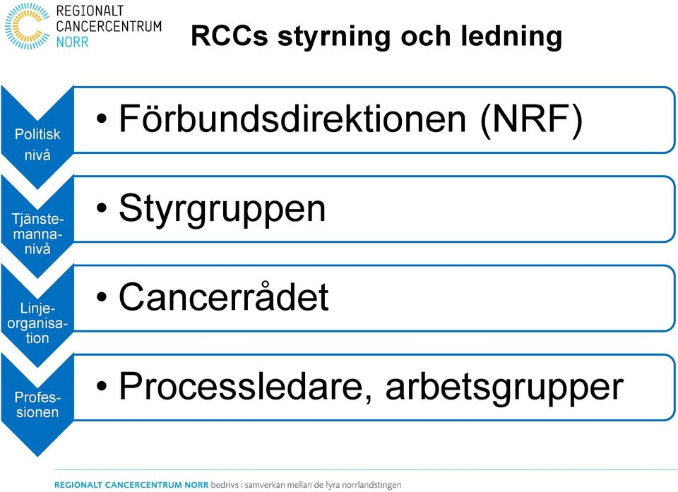 Professionen Förbundsdirektionen (NRF)