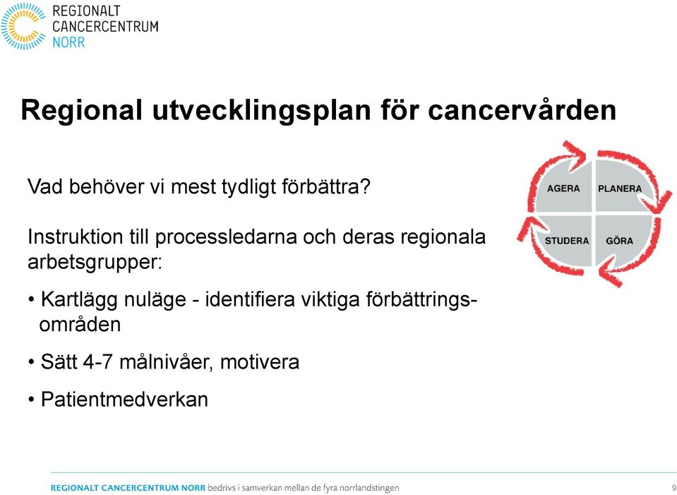 Instruktion till processledarna och deras regionala