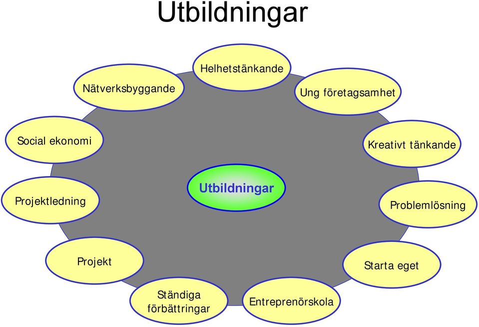 Projektledning Utbildningar Problemlösning