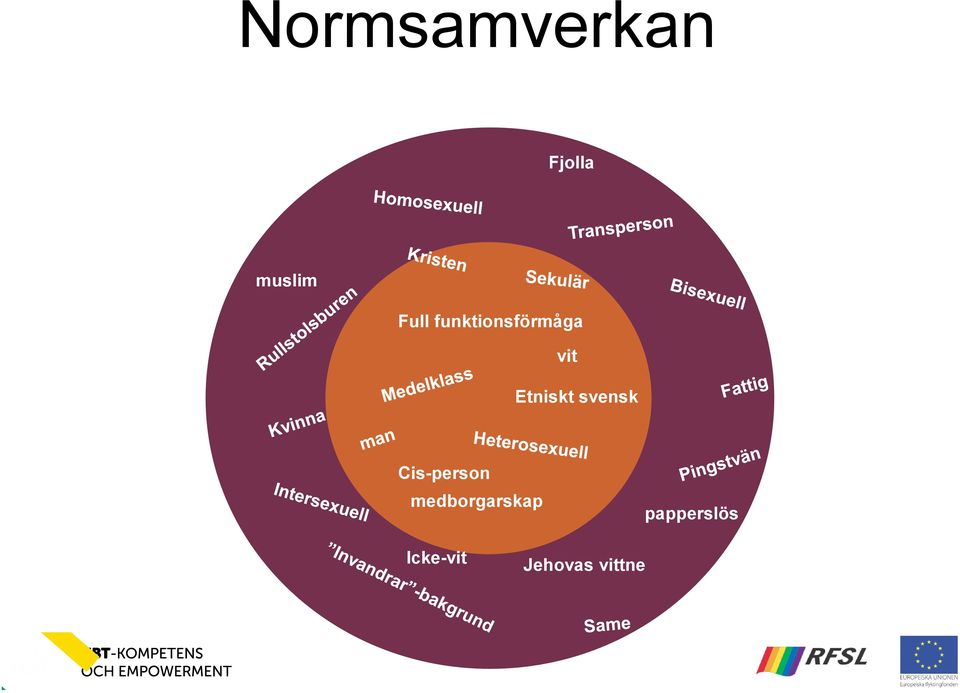 Etniskt svensk Cis-person