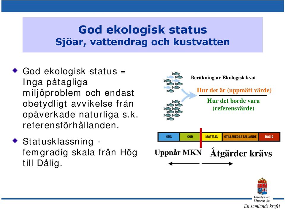 Beräkning av Ekologisk kvot Hur det är (uppmätt värde) Hur det borde vara (referensvärde)