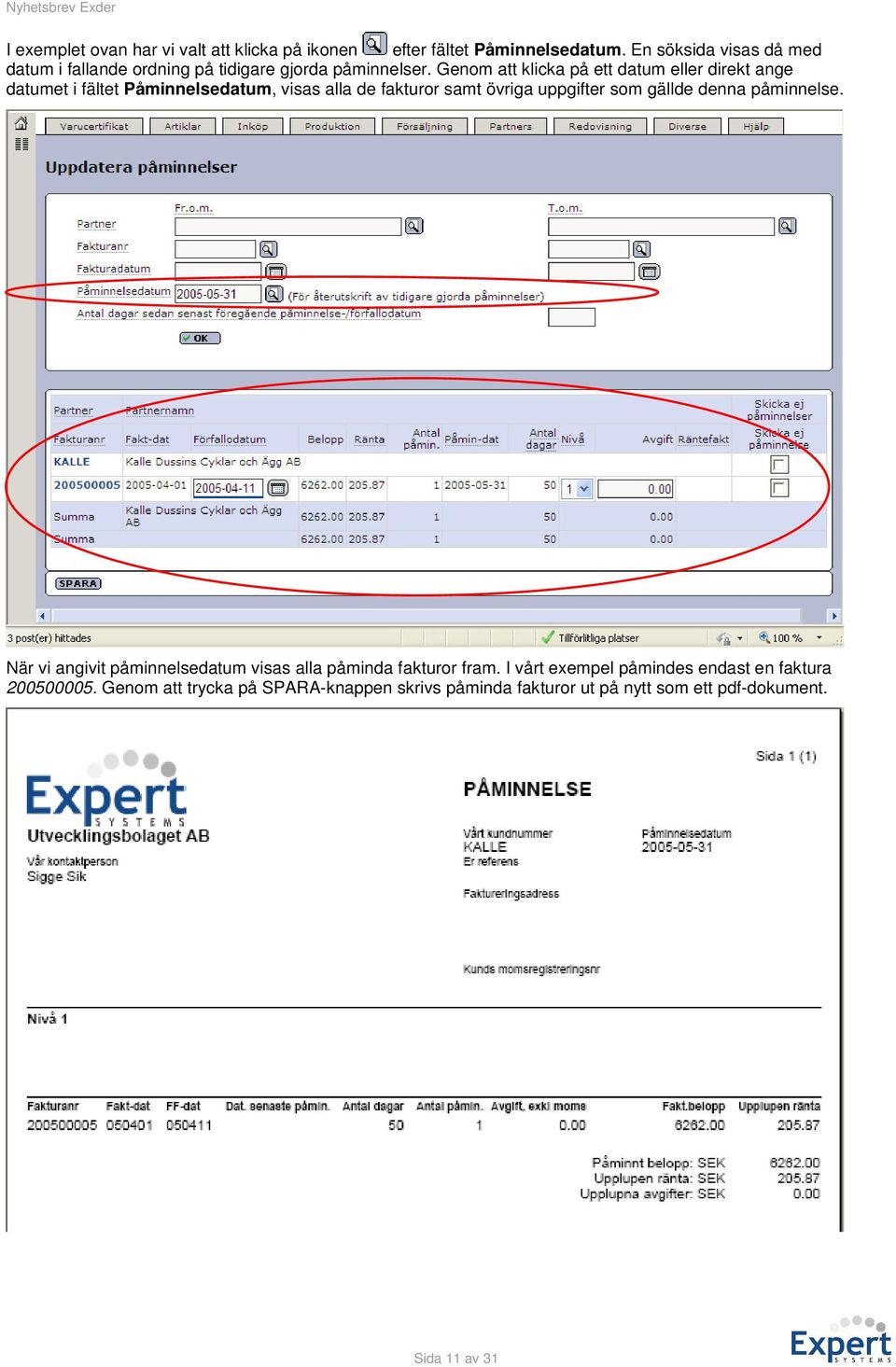 Genom att klicka på ett datum eller direkt ange datumet i fältet Påminnelsedatum, visas alla de fakturor samt övriga uppgifter som