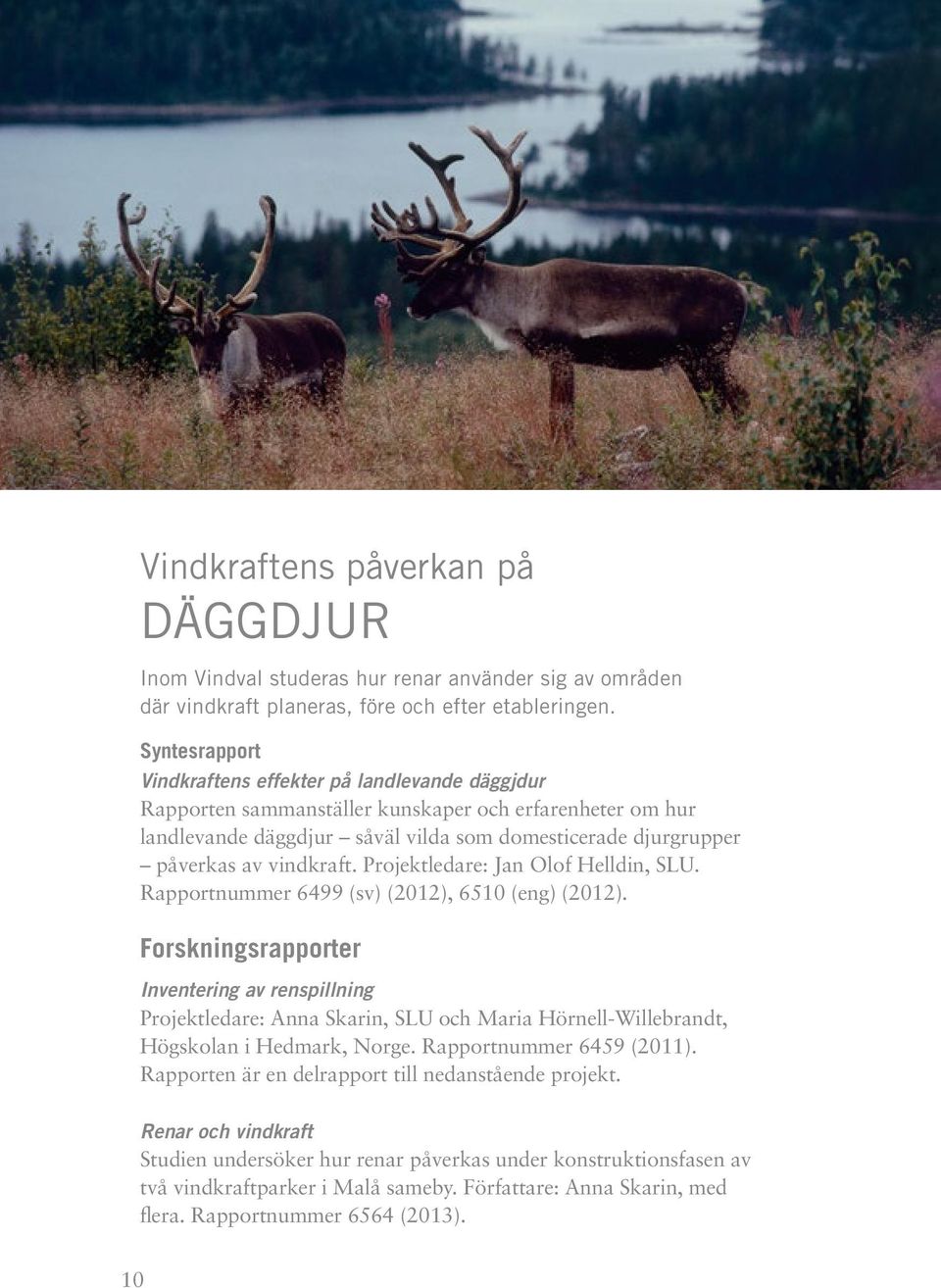 vindkraft. Projektledare: Jan Olof Helldin, SLU. Rapportnummer 6499 (sv) (2012), 6510 (eng) (2012).