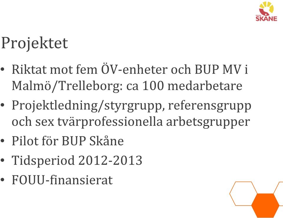 Projektledning/styrgrupp, referensgrupp och sex