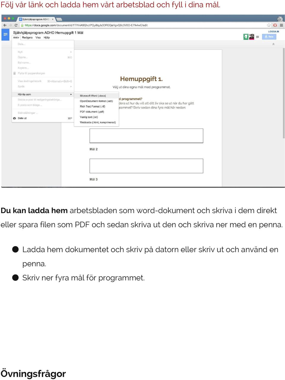 filen som PDF och sedan skriva ut den och skriva ner med en penna.