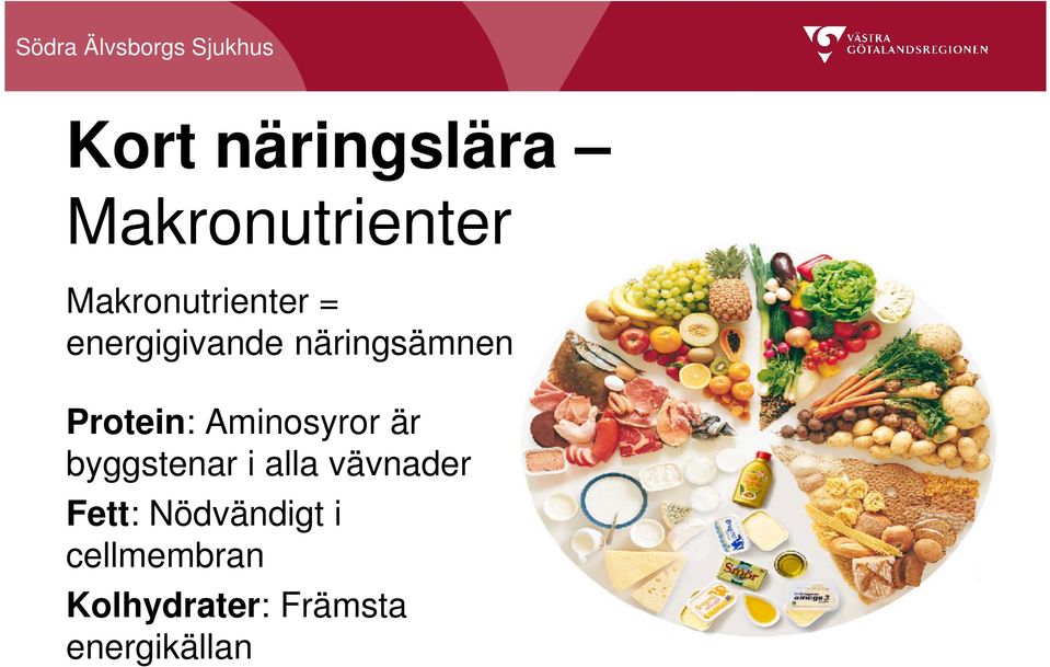 Protein: Aminosyror är byggstenar i alla