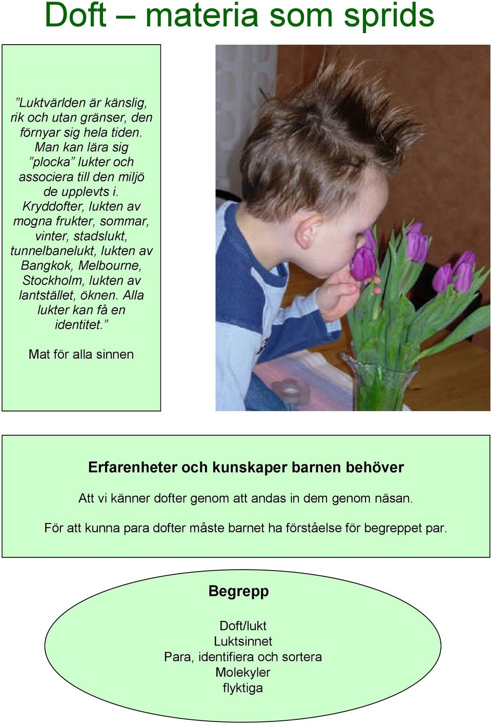 Kryddofter, lukten av mogna frukter, sommar, vinter, stadslukt, tunnelbanelukt, lukten av Bangkok, Melbourne, Stockholm, lukten av lantstället, öknen.