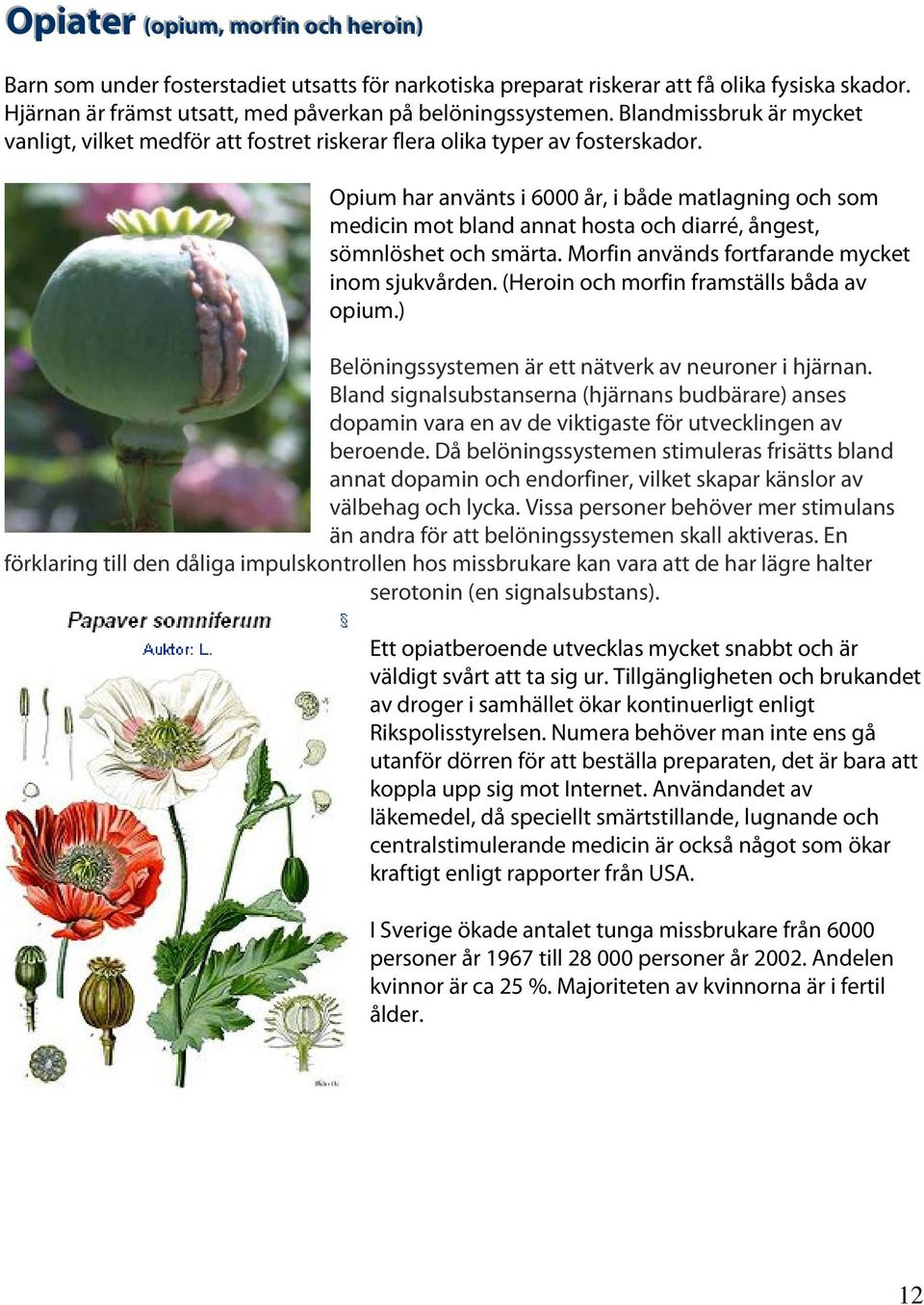 Opium har använts i 6000 år, i både matlagning och som medicin mot bland annat hosta och diarré, ångest, sömnlöshet och smärta. Morfin används fortfarande mycket inom sjukvården.