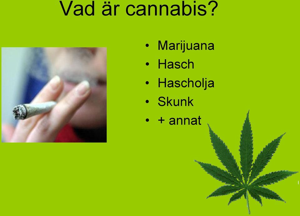 Marijuana