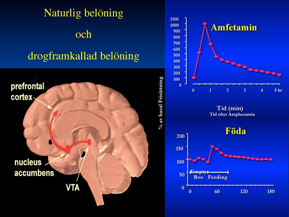100 0 200 Amfetamin 0 1 2 3 4 5 hr Tid (min) Tid efter