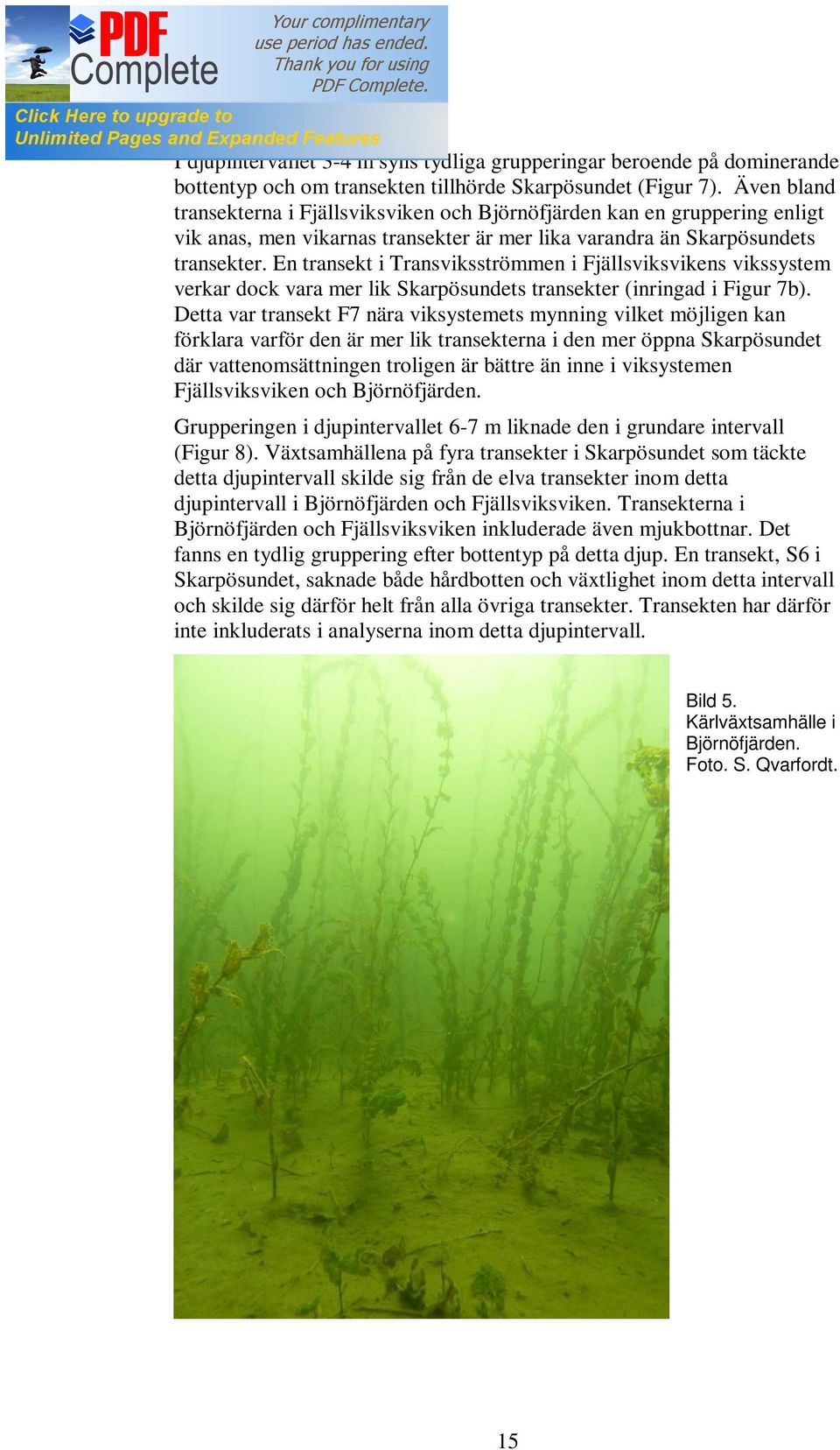 En transekt i Transviksströmmen i s vikssystem verkar dock vara mer lik Skarpösundets transekter (inringad i Figur 7b).