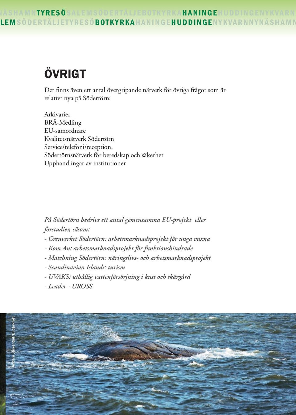 Södertörnsnätverk för beredskap och säkerhet Upphandlingar av institutioner På Södertörn bedrivs ett antal gemensamma EU-projekt eller förstudier, såsom: - Grenverket Södertörn: