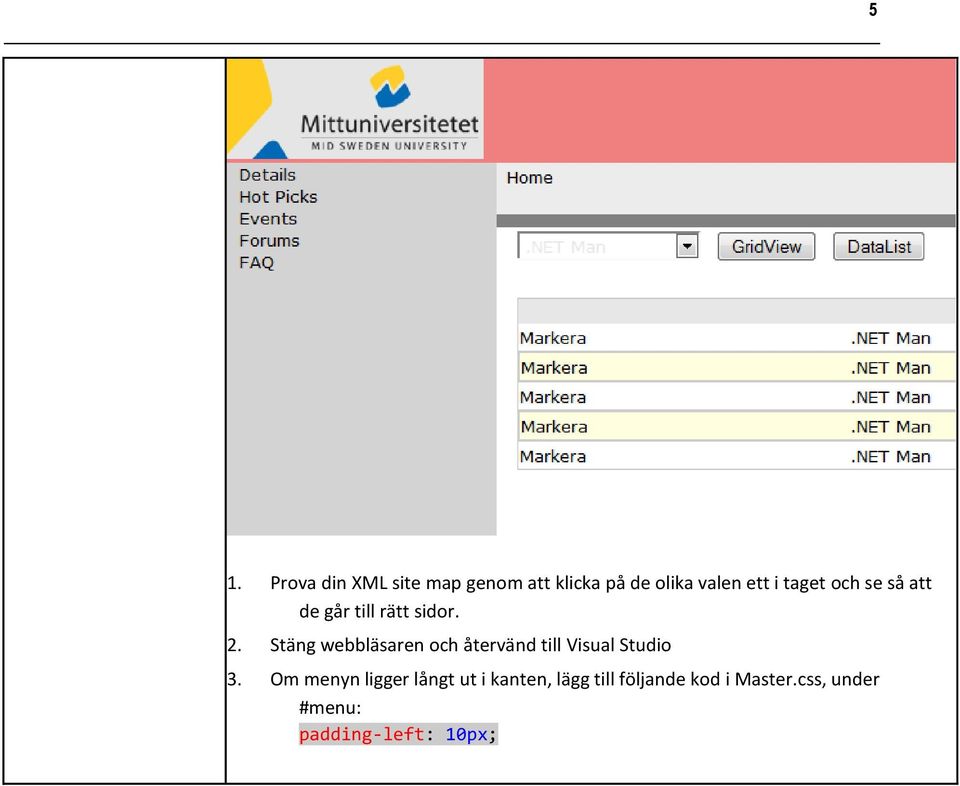 Stäng webbläsaren och återvänd till Visual Studio 3.