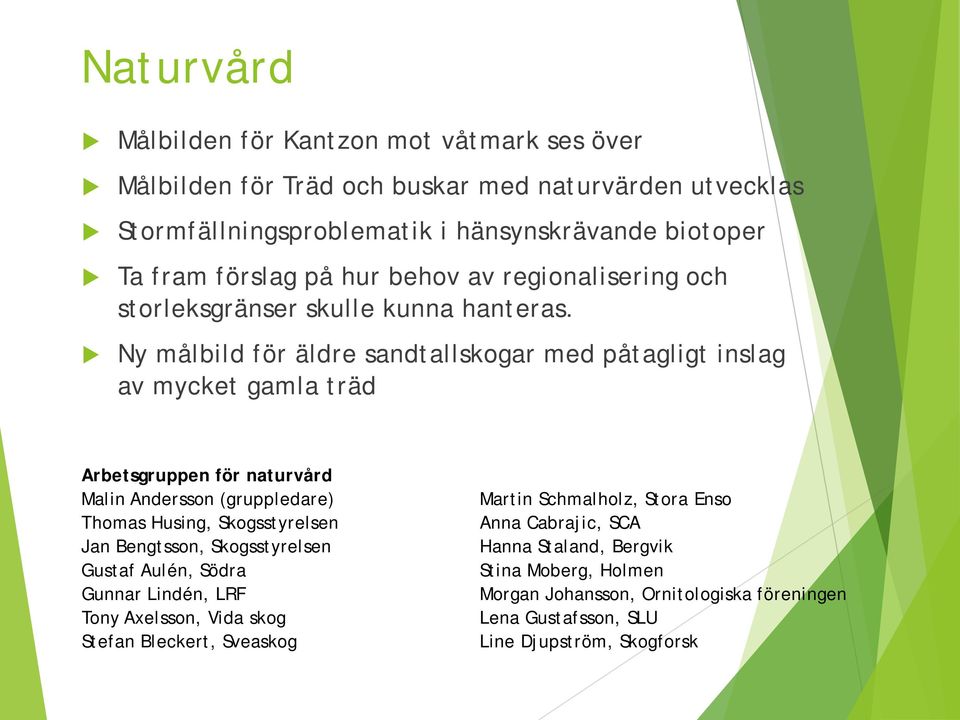 Ny målbild för äldre sandtallskogar med påtagligt inslag av mycket gamla träd Arbetsgruppen för naturvård Malin Andersson (gruppledare) Thomas Husing, Skogsstyrelsen Jan Bengtsson,