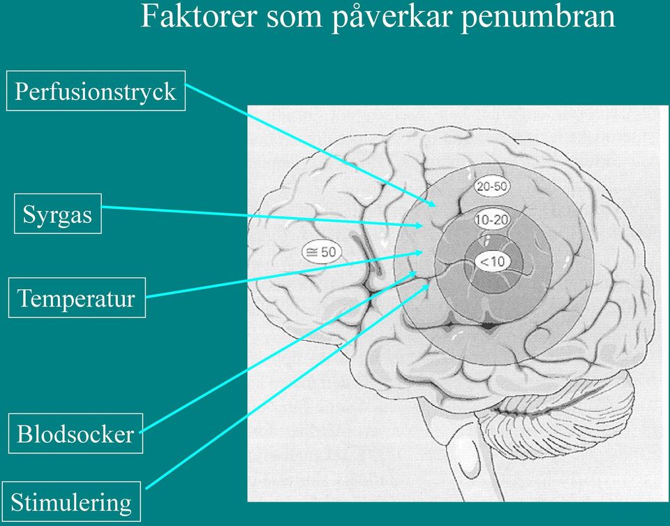 penumbran Syrgas