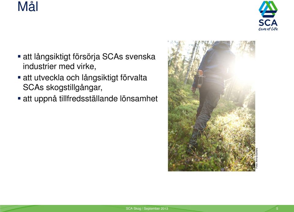 SCAs skogstillgångar, att uppnå tillfredsställande
