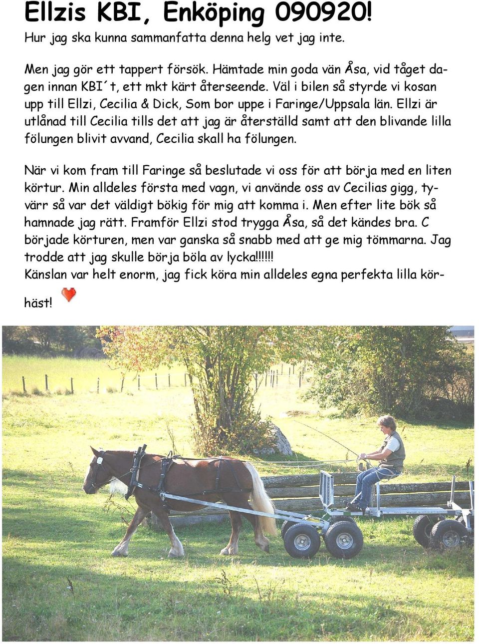 Ellzi är utlånad till Cecilia tills det att jag är återställd samt att den blivande lilla fölungen blivit avvand, Cecilia skall ha fölungen.