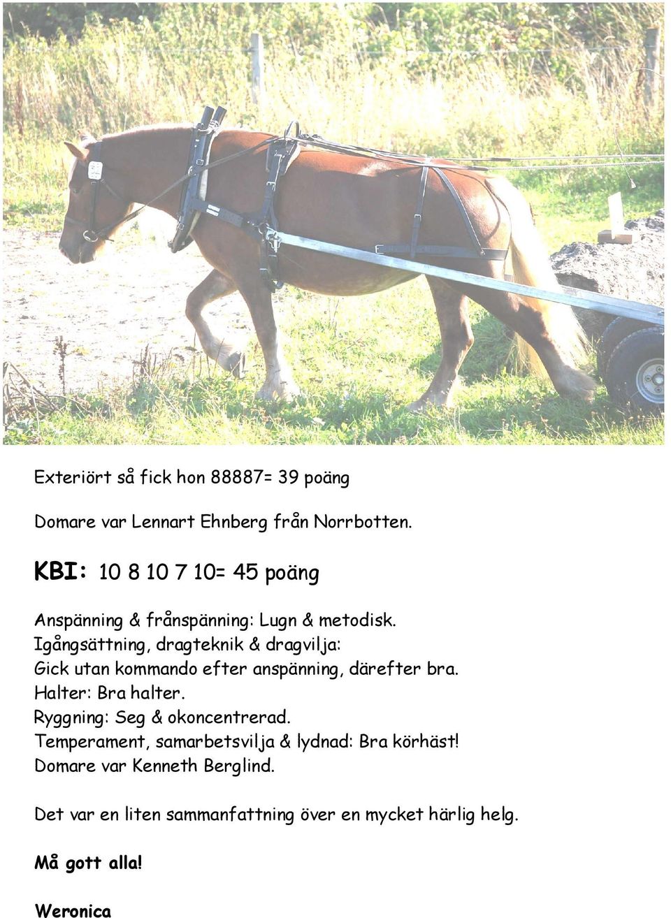 Igångsättning, dragteknik & dragvilja: Gick utan kommando efter anspänning, därefter bra. Halter: Bra halter.