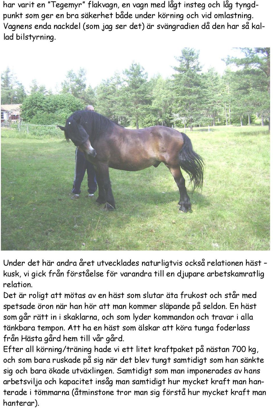 Under det här andra året utvecklades naturligtvis också relationen häst kusk, vi gick från förståelse för varandra till en djupare arbetskamratlig relation.