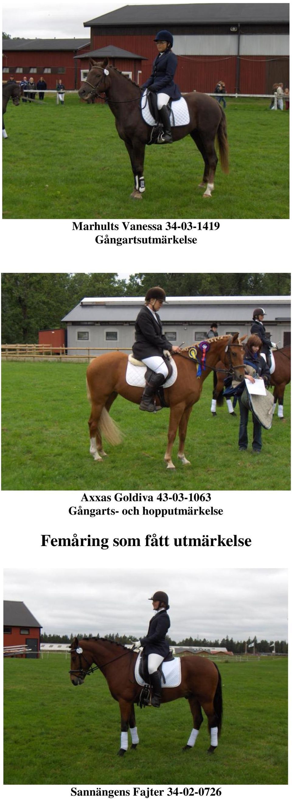 43-03-1063 Gångarts- och hopputmärkelse