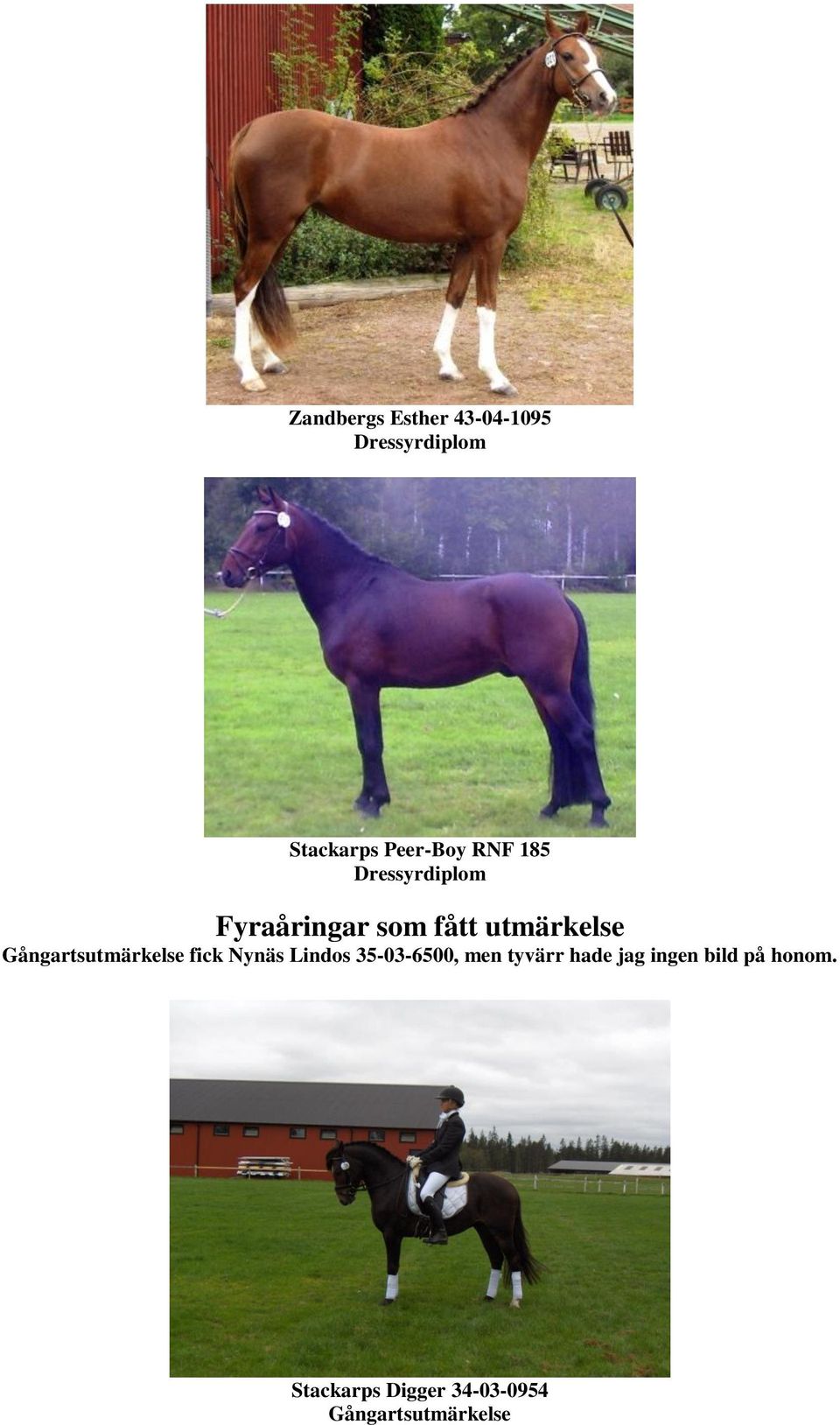 Gångartsutmärkelse fick Nynäs Lindos 35-03-6500, men tyvärr