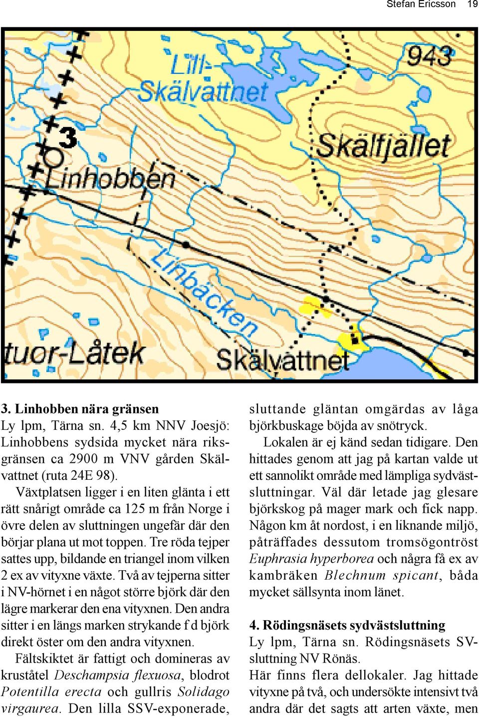 Tre röda tejper sattes upp, bildande en triangel inom vilken 2 ex av vityxne växte. Två av tejperna sitter i NV-hörnet i en något större björk där den lägre markerar den ena vityxnen.