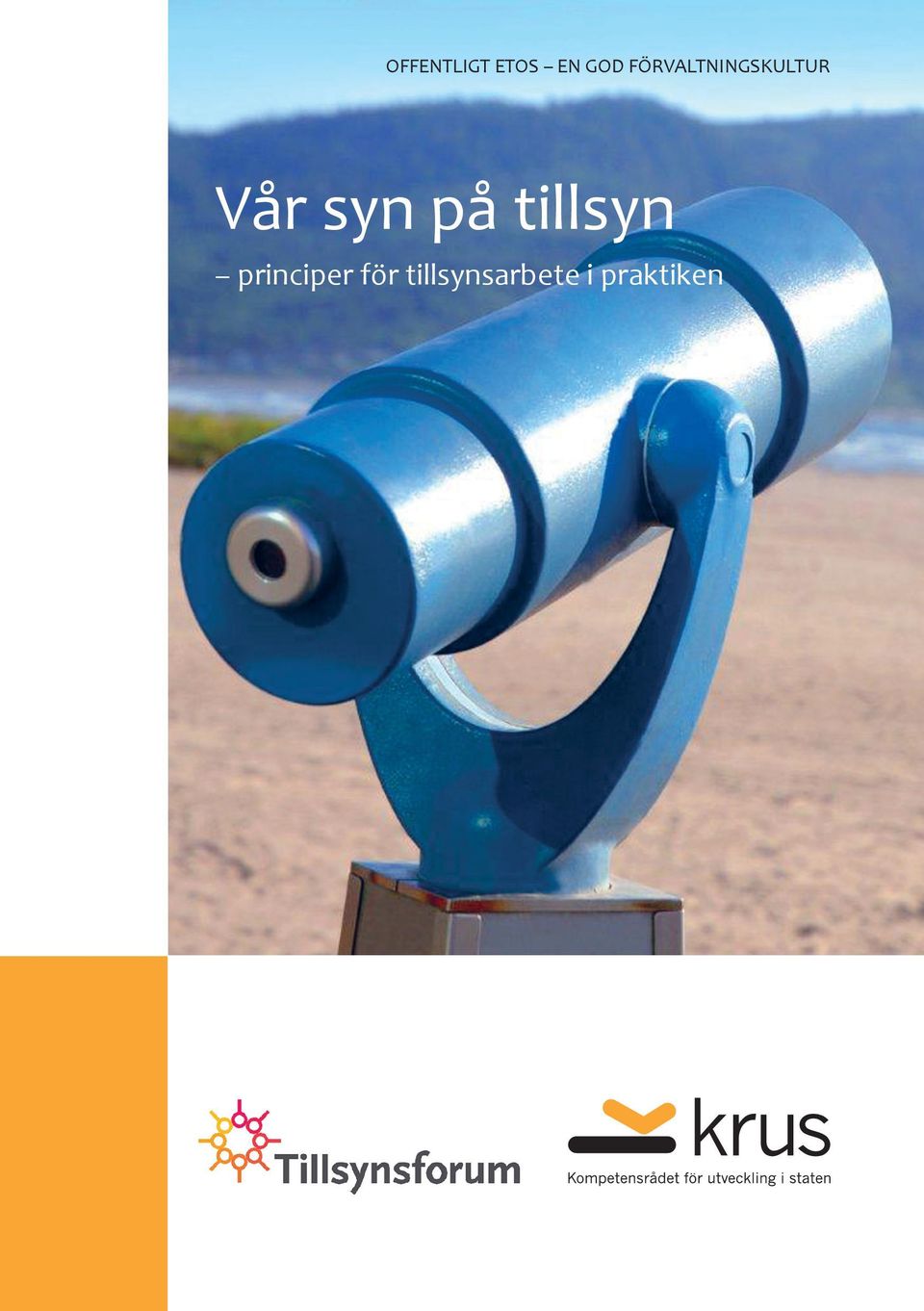 syn på tillsyn principer