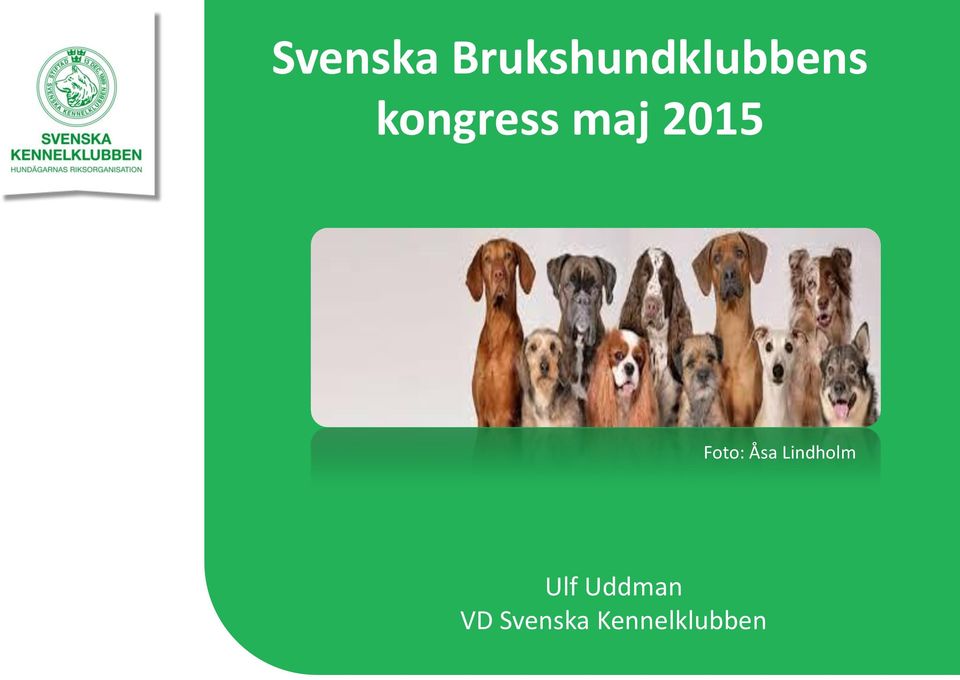 kongress maj 2015 Foto: