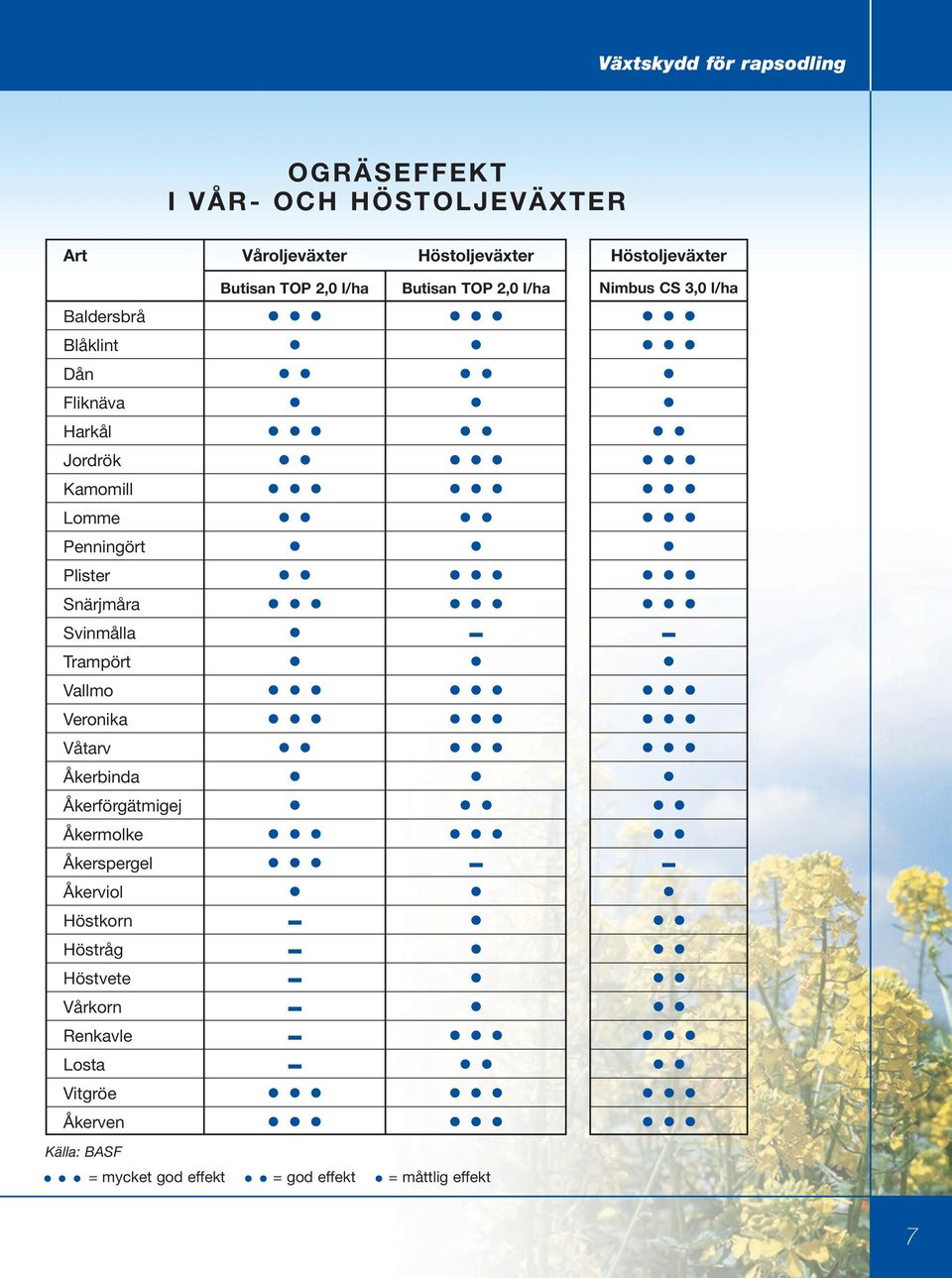 Vallmo Veronika Våtarv Åkerbinda Åkerförgätmigej Åkermolke Åkerspergel Åkerviol Höstkorn Höstråg Höstvete Vårkorn