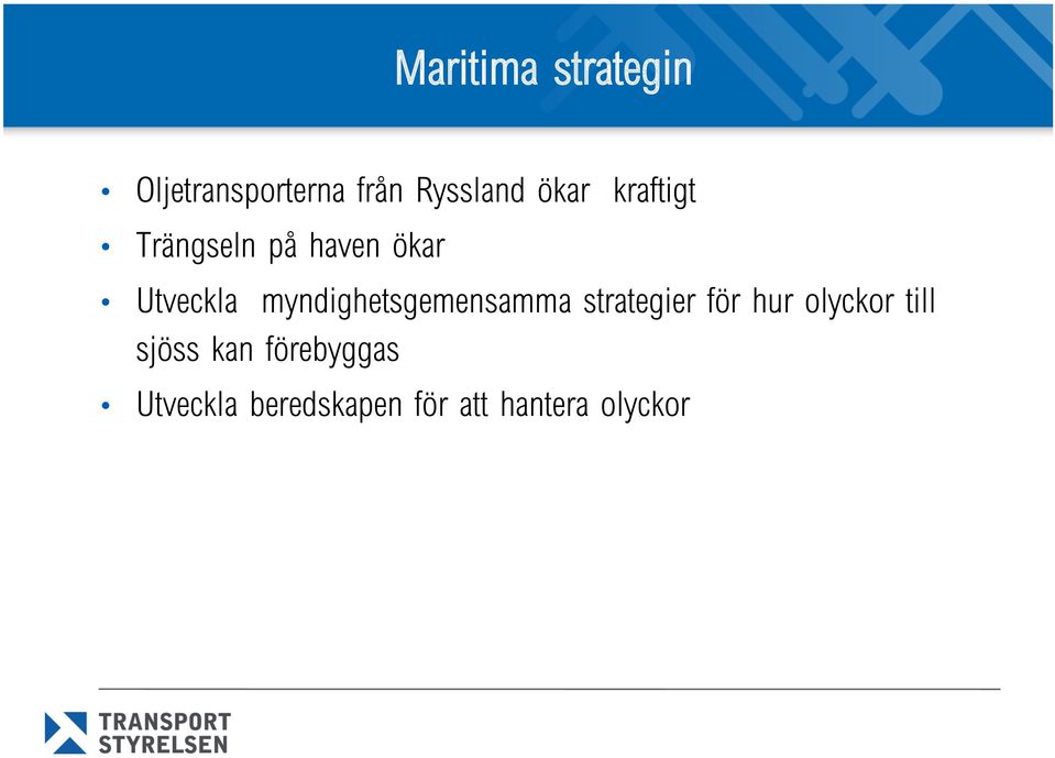 myndighetsgemensamma strategier för hur olyckor till