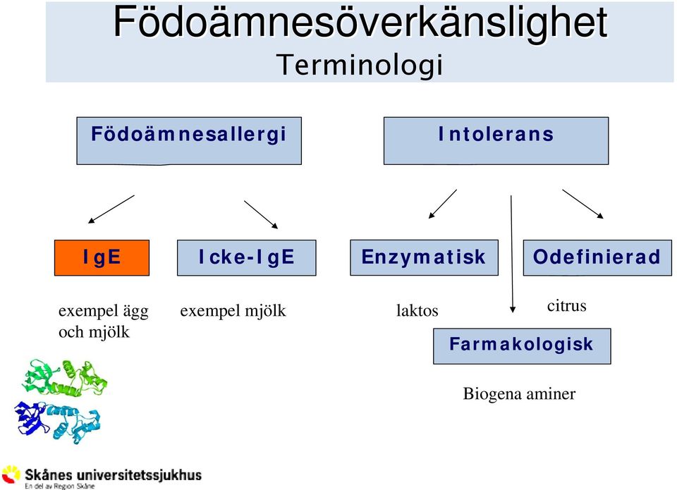 Enzymatisk Odefinierad exempel ägg och mjölk