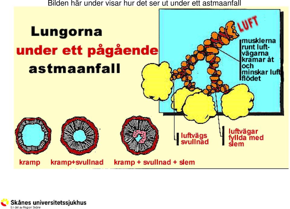 hur det ser ut