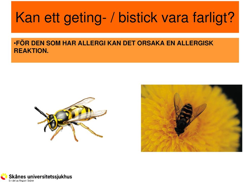 FÖR DEN SOM HAR ALLERGI