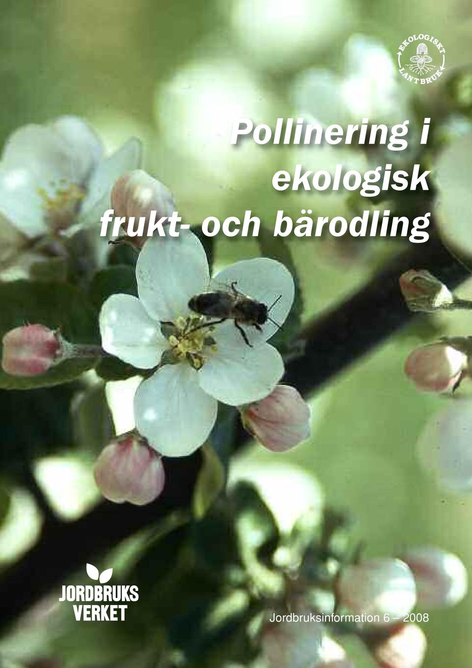 och bärodling