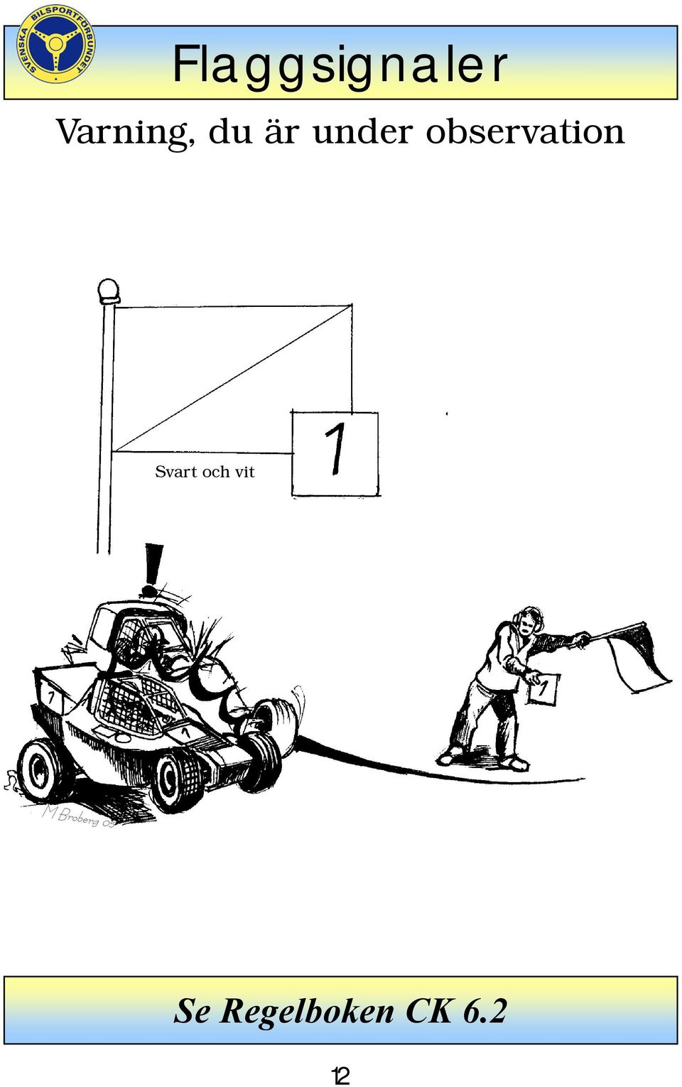 observation Svart