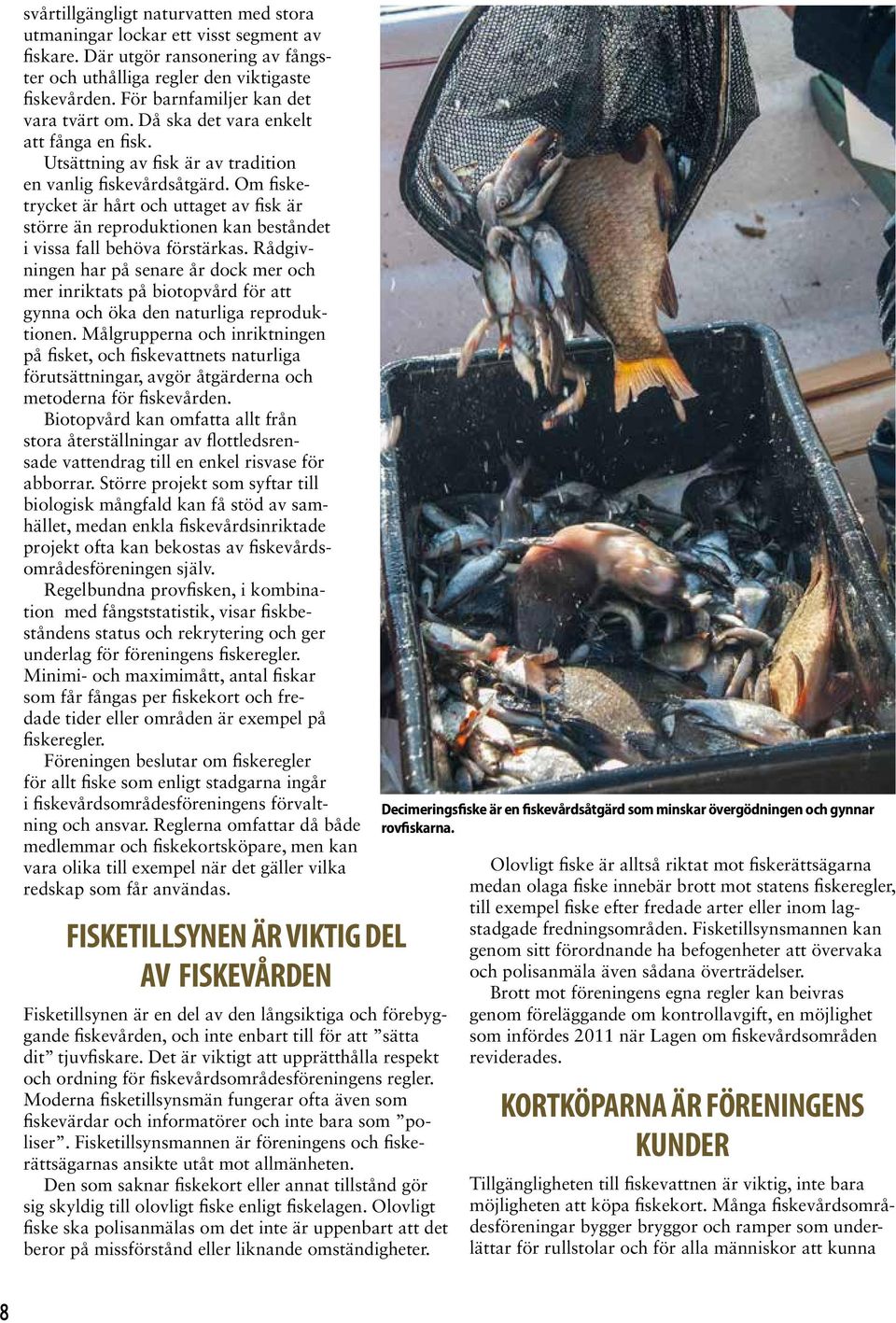Om fisketrycket är hårt och uttaget av fisk är större än reproduktionen kan beståndet i vissa fall behöva förstärkas.