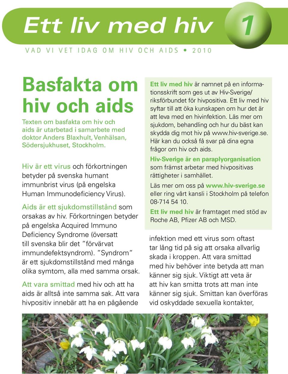 Förkortningen betyder på engelska Acquired Immuno Deficiency Syndrome (översatt till svenska blir det förvärvat immundefektsyndrom).