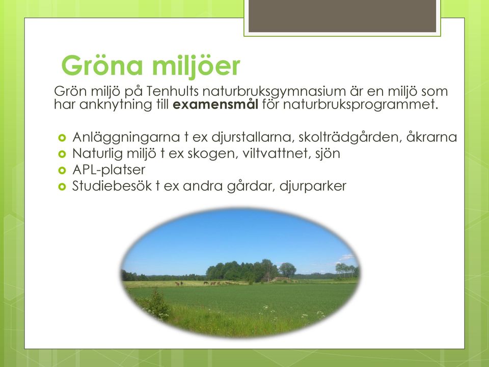 Anläggningarna t ex djurstallarna, skolträdgården, åkrarna Naturlig