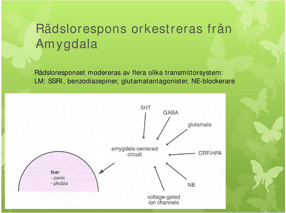 transmittorsystem: LM: SSRI,