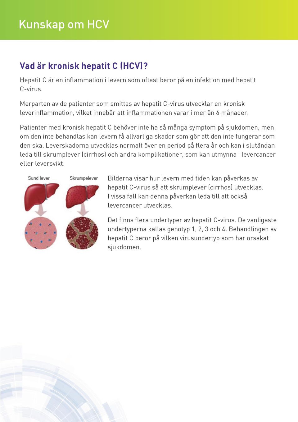 Patienter med kronisk hepatit C behöver inte ha så många symptom på sjukdomen, men om den inte behandlas kan levern få allvarliga skador som gör att den inte fungerar som den ska.